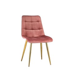 Różowe krzesło ze złotymi nogami do salonu SEUL
